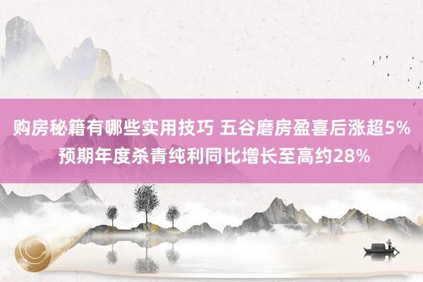 购房秘籍有哪些实用技巧 五谷磨房盈喜后涨超5% 预期年度杀青纯利同比增长至高约28%